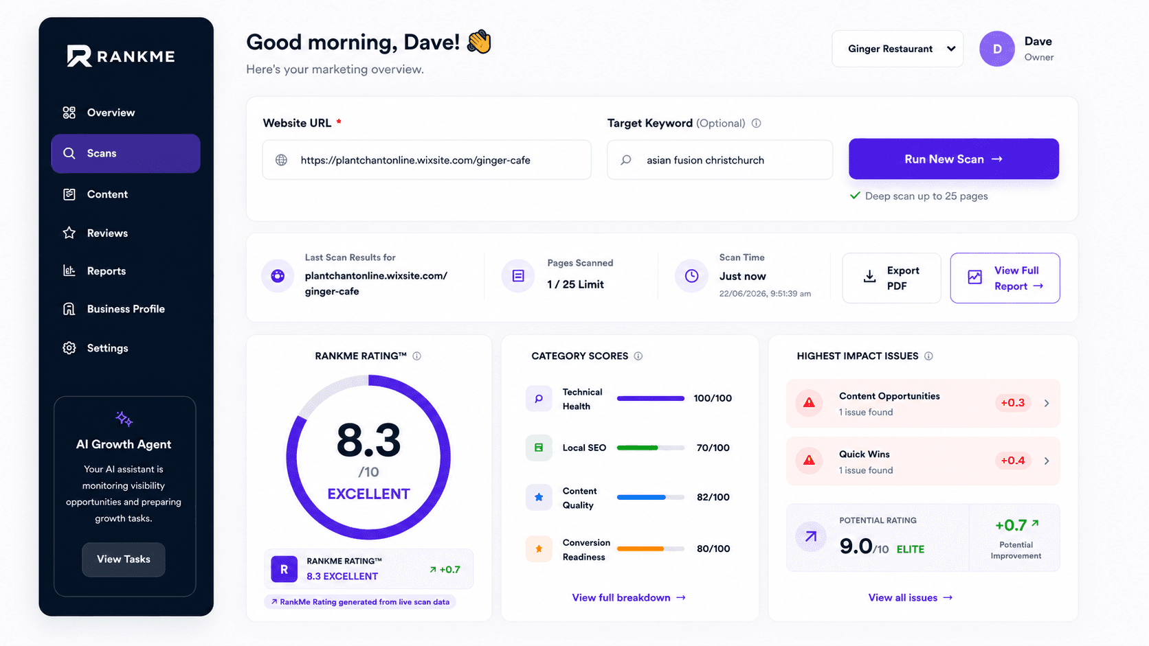 RankMe workspace preview showing page scoring, findings and recommendations